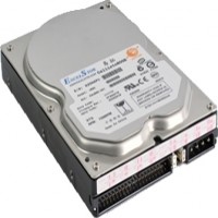 HDD Excelstor 80GB PATA 